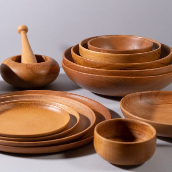 Dinner set (13 pieces) - woodin water