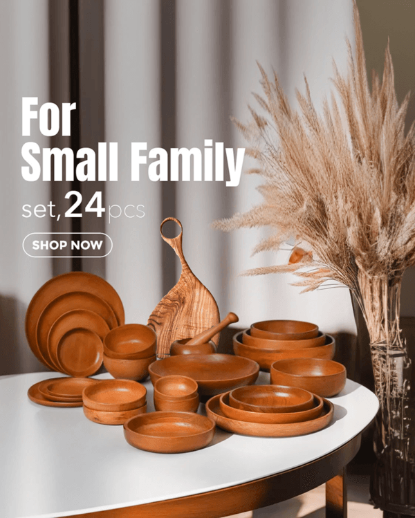 Dinner set for small family (24 pieces) - woodin water